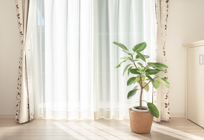 観葉植物を置くメリット2