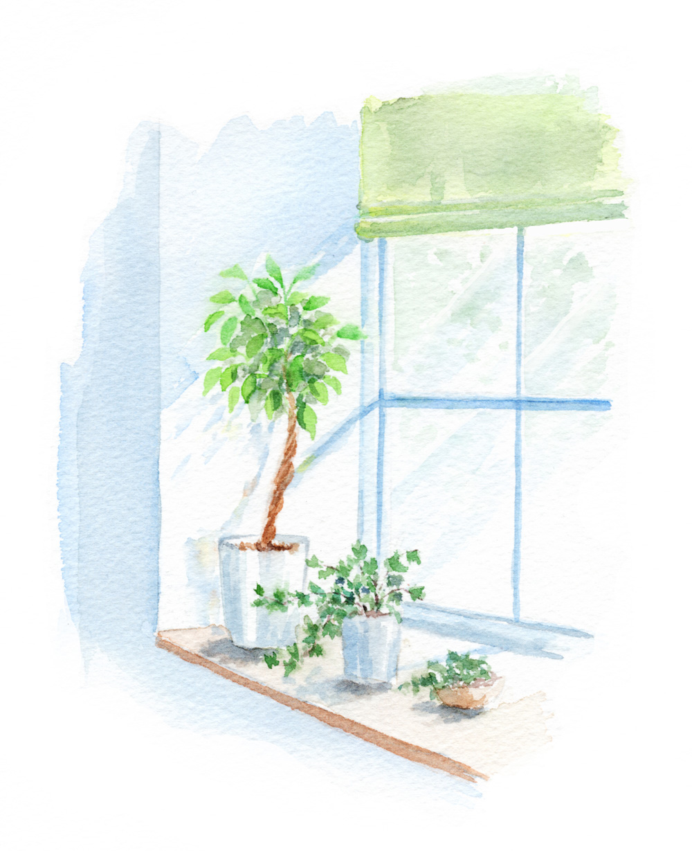 観葉植物を置くメリット