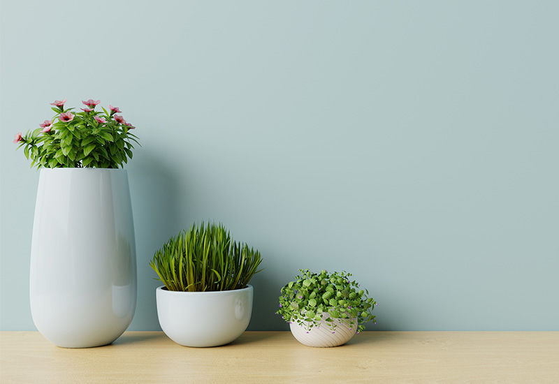 観葉植物を置くメリット2